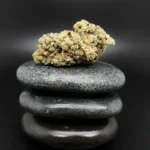 Remexian 33/1 MTL JUC medizinische Cannabisblüte mit 33 % THC auf Rezept erhältlich