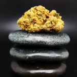Tweed AET 28/1 medizinische Cannabisblüte mit 28 % THC auf Rezept erhältlich