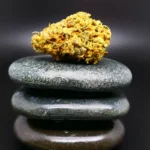 Tweed LMH 26/1 medizinische Cannabisblüte in pharmazeutischer Qualität auf Rezept